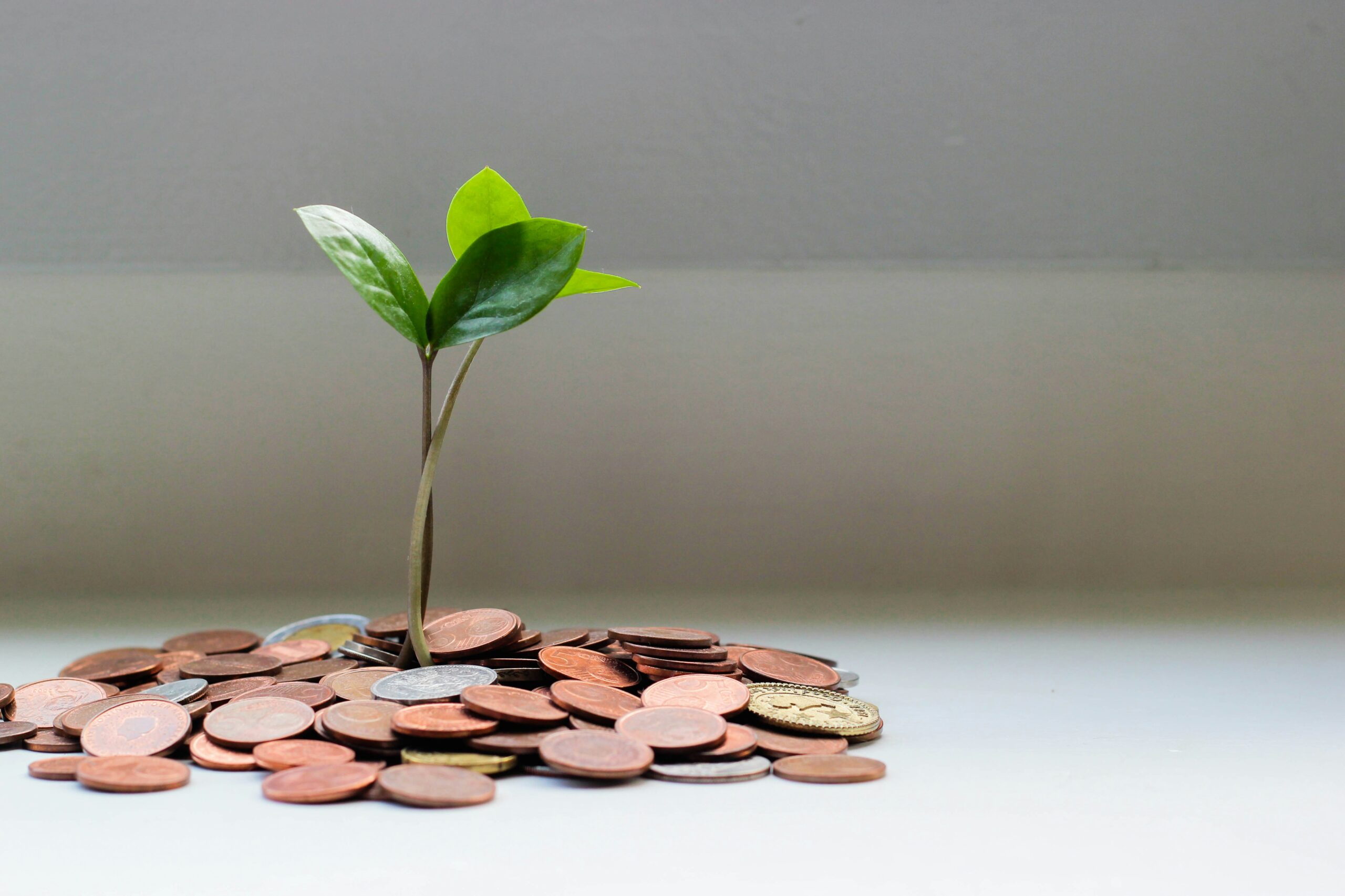 Impact Investing