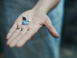 The Ripple Effect How Small Donations Can Drive Big Change