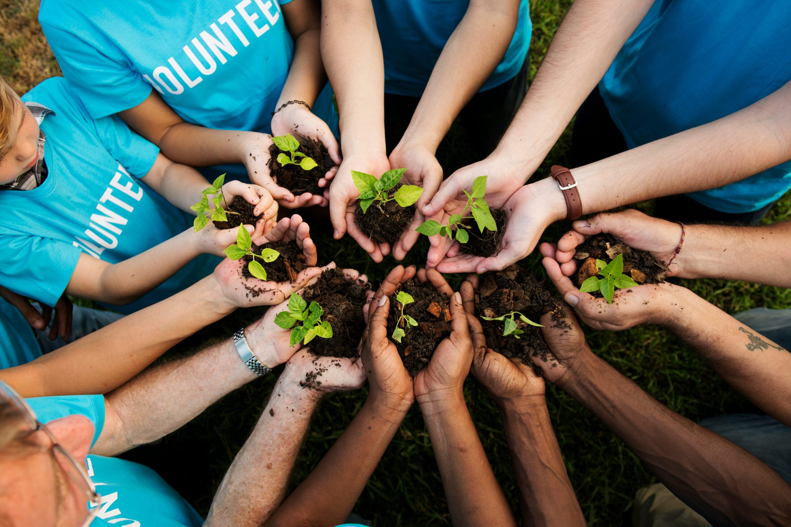 Dr. Ann Marie Egloff